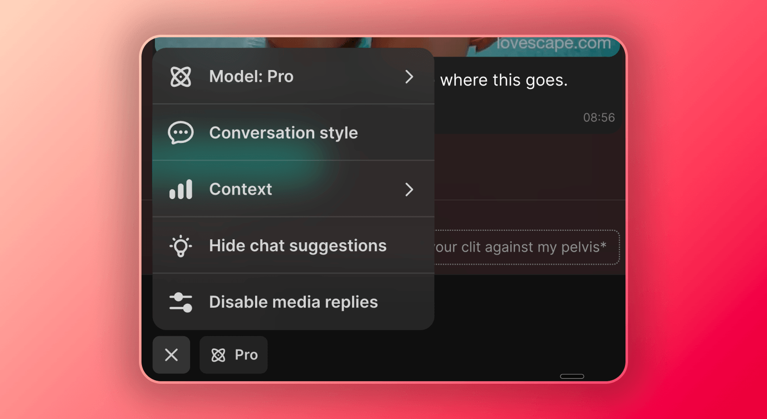 Screenshot of the chat options that you can customize in Lovescape